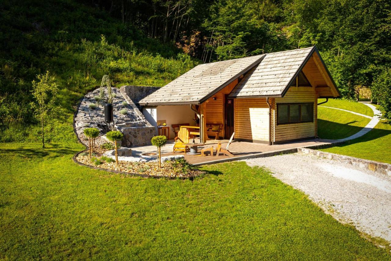Chalet Letnik Ziri 外观 照片