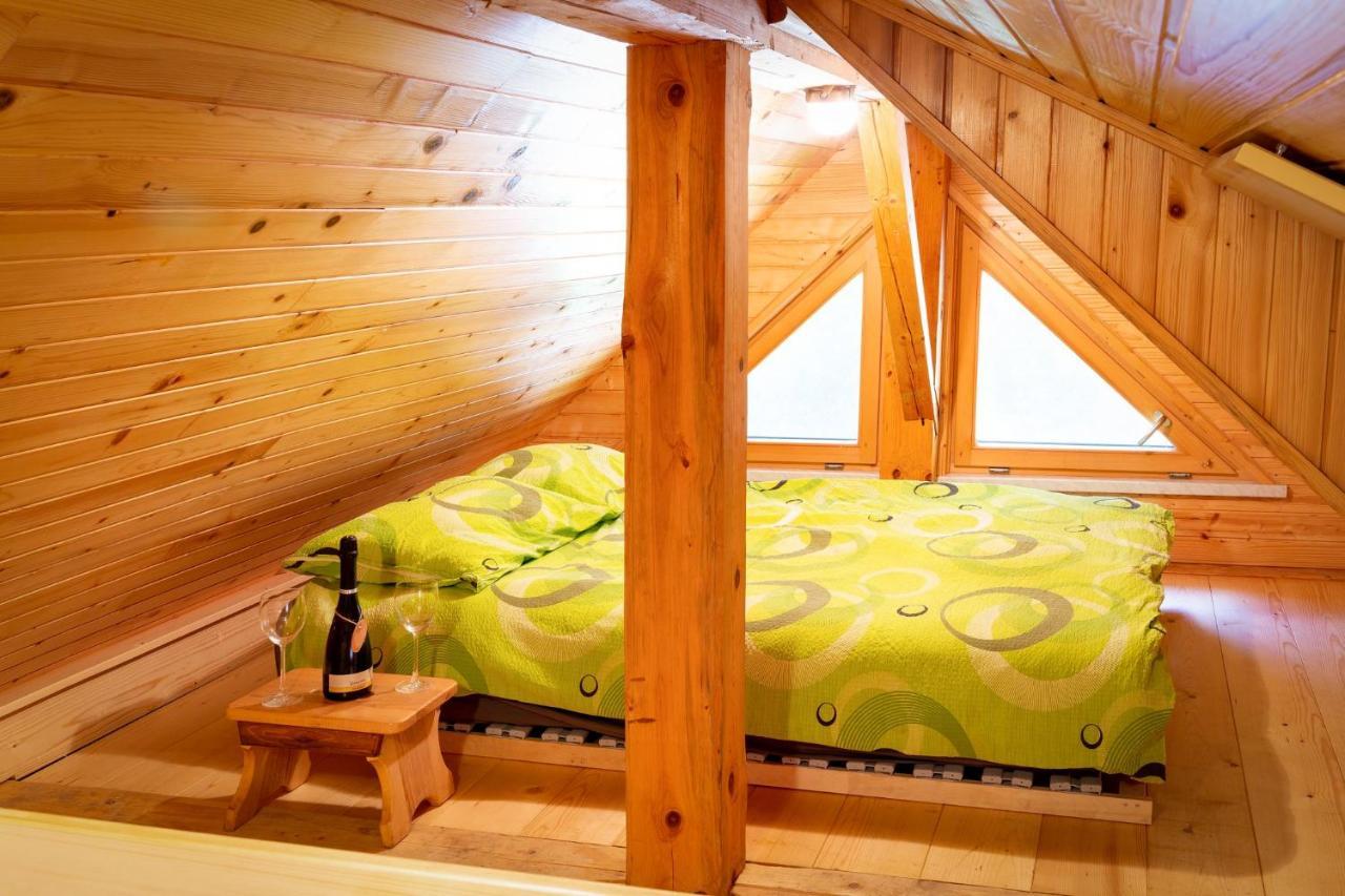 Chalet Letnik Ziri 外观 照片